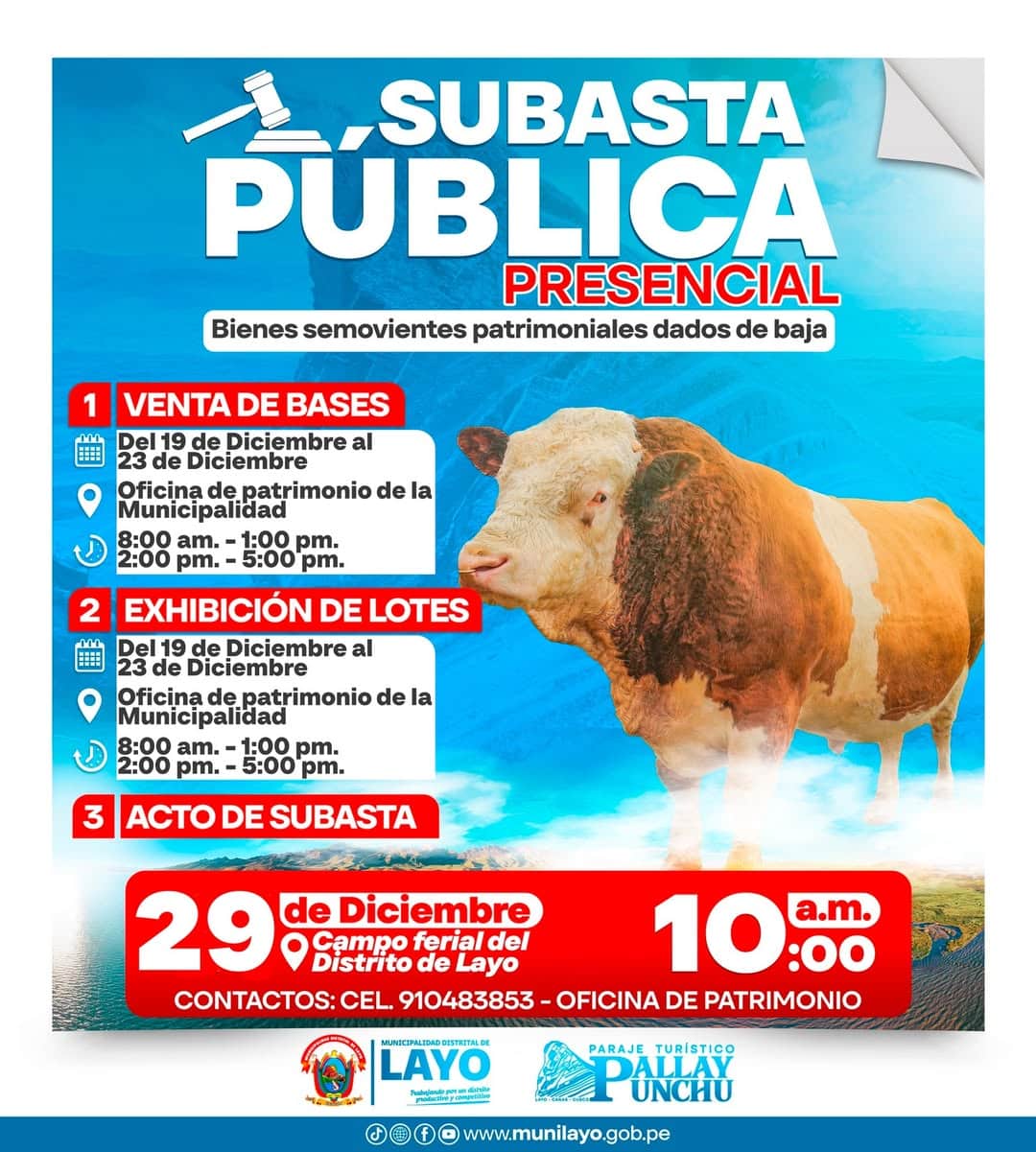 𝗦𝗨𝗕𝗔𝗦𝗧𝗔 𝗣Ú𝗕𝗟𝗜𝗖𝗔 𝗗𝗘 𝗕𝗜𝗘𝗡 𝗦𝗘𝗠𝗢𝗩𝗜𝗘𝗡𝗧𝗘 𝗣𝗔𝗧𝗥𝗜𝗠𝗢𝗡𝗜𝗔𝕷 𝗗𝗔𝗗𝗢𝗦 𝗗𝗘 𝗕𝗔𝗝𝗔